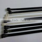 Cable Ties