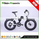 350w Brushless(8fun) Electric Mini Fat Tyre Bike With 36v Samsung Battery ( TDN38Z ) thumbnail-1