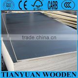 CE approved Poplar core marine plywood used in the construction of docks and boats