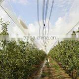 43 Grm HDPE Agriculture Leno Anti Hail Net thumbnail-5