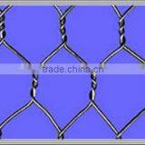 Hot Dipped Galvanized and Stainless Steel Hexagonal Wire Mesh