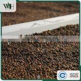 Vietnam Pure Natural Black Pepper 550gl 500gl for Extract thumbnail-6