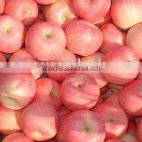 Fuji Apple Fruit From China