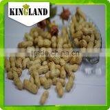 Crop Top Peanut in Shell thumbnail-4