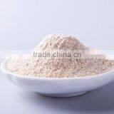 White Color Garlic Powder From Shandong thumbnail-1