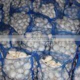 China Fresh Cheap Price Garlic