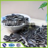 Dried black bird striped sunflower seeds