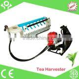 Tea Harvester thumbnail-1