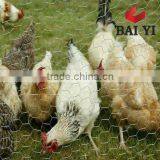 Wholesale Galvanized Poultry Wire Netting for Sale
