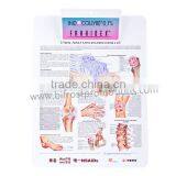 HIPS Medical Clipboard thumbnail-1