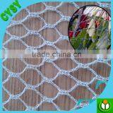 pe Anti Bird Net,green Anti Bird Net,bird Netting (factory) thumbnail-6