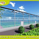 Hydroponic Greenhouse Systems/Selling Used Greenhouse For Agriculture And Horticulture thumbnail-6