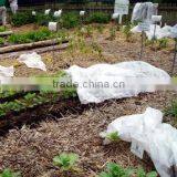 Growing Cover Non-Woven Fabric thumbnail-1