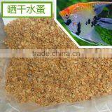 Sun Dried Daphnia thumbnail-1