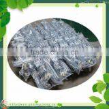 Tomato Plant Spiral Support Stakes thumbnail-2