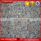 G383 Pearl Flower Granite Tiles for Floor Tiles thumbnail-1