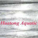 High Quality A Grade Ribbon Fish Whole and Round thumbnail-1