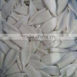 Squid Tube u4 of Japanese Squid thumbnail-1