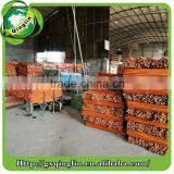 Natural Color Wooden Household Broom Stick/handles China Guangxi Manufacture thumbnail-4