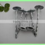 Kenya Umbrella Roofing Nails thumbnail-6