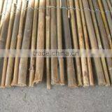 Natural Rolled Bamboo Fence thumbnail-1