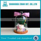 Glass Shade Preserved Flower Cover thumbnail-1