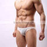 Without Logo Hot Sexi Photo Image Of Transparent Mesh Underwear Briefs Custom SC14 thumbnail-5