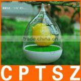 New Products Charge a Birdcage Lamp Led Night Light Cartoon Creative Sensor Lights thumbnail-6