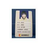 Name Tag thumbnail-3