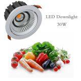 LED Fresh Downlight for Meat Vegetable food display lighting