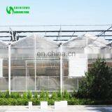 Agriculture Greenhouse, Polycarbonate Greenhouse With Black-out System for Medical Planting thumbnail-4