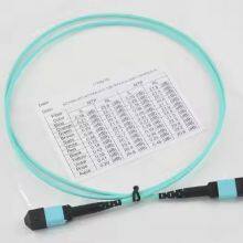 Direct Factory Price OM1 OM2 OM3 OM4 OM5 12cores MPO-MTP Male/Female Trunk Cable thumbnail-3