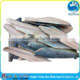 3-5oz/pcs MahiMahi fiilet Portions