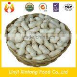 Best Selling Products New Wholesale Peanuts Raw Peanuts for Sale