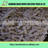 Pure White Wholesale Natural Garlic/garlic Powder/fresh Garlic Chinese thumbnail-5