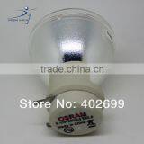 Original 5J.J4G05.001 Projector Lamp Low Cost