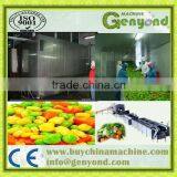 Hot Selling!! SYD Series Tunnel Quick-freezing Machine