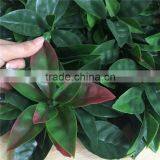 China wholesale 50x50cm artificial fake boxwood artificial carpet