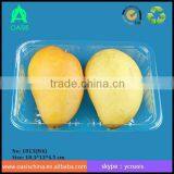 500ml Disposable Blister Plastic PET Food Tray/PET Plastic Tray for Food thumbnail-2