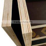 High Quality Clear Poplar Lumber Shuttering Construction Plywood thumbnail-3