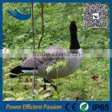 Good Paint Canada Field Goose Decoy Wholesale Goose Decoys