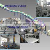 Palletizer Machine Palletizing Machine Packing Machine