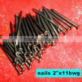 Libya Market Nails thumbnail-2