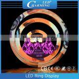 High Brightness Standing / Hanging 3d Video Circular Led Screen Display for Night Club Decor thumbnail-2