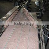 Plastic Table Top Chains Conveyor thumbnail-5