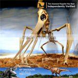 MY Dino-C064 Theme Park Pterosaur Skeleton for Sale thumbnail-6