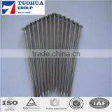 Factory Product Common Nail/common Iron Nail/common Wire Nail thumbnail-4
