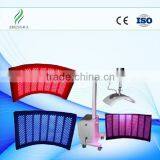 Zhengjia Medical CE Approval Professional Beauty Equipment Led Machine for Skin Rejuvenation