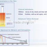 1064nm Pigment Removal Yag Laser Tattoo Removal Jundeli Hair Remover thumbnail-4