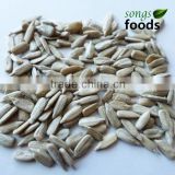 Hulled Sunflower Seeds and Confectionary Sunflower